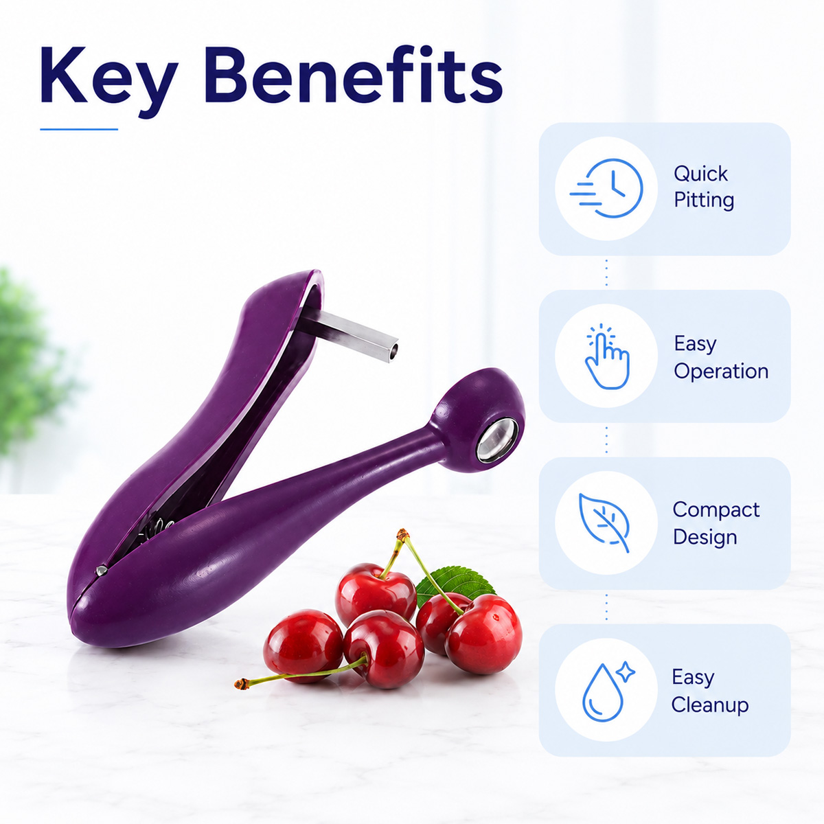 Alat Pengupas Biji Ceri Gengga - Kitchen Tools In Baking ulasan dan harga